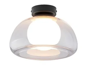Livarno home Nástenná a stropná LED lampa (transparentná)