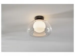 Livarno home Nástenná a stropná LED lampa (transparentná)