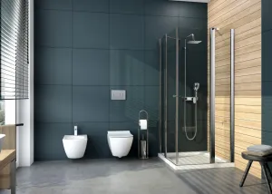 DEANTE - Anemon biela - Bidet, nástenný CDZ_6BPW