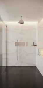 DEANTE - Cascada steel Sprchová hlavica, nerez - 225 mm NAC_095K