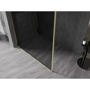 MEXEN/S - Kyoto-XF Sprchová zástena WALK-IN s rámom 120 x 202, grafit 10 mm, zlato kefovaná 800-120-104-55-40-X