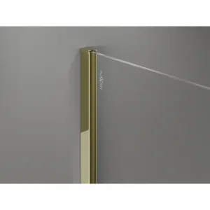 MEXEN/S - Kyoto-X Sprchová zástena WALK-IN 110 x 200, grafit 10 mm, zlato 800-110-101-50-40-X