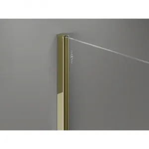 MEXEN/S - Kyoto-X Sprchová zástena WALK-IN 60 x 200, grafit 10 mm, zlato 800-060-101-50-40-X