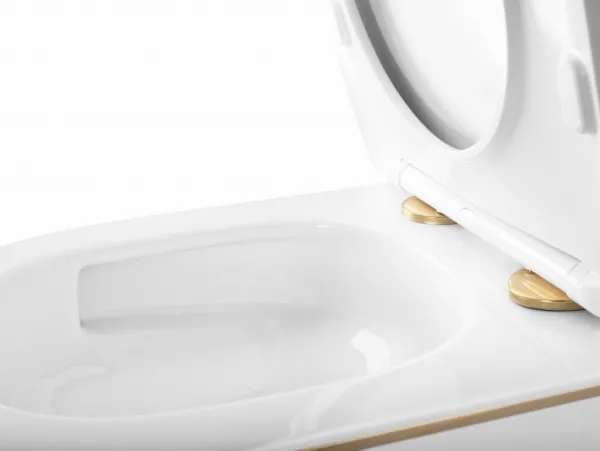 REA - Závesná WC misa Carlo Mini Tornado NFQ GOLD EDGE REA-C6801