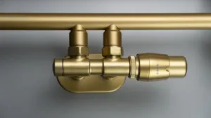 Deante Silia DEA-AGI_RG31 500 mm x 850 mm zlatá matná