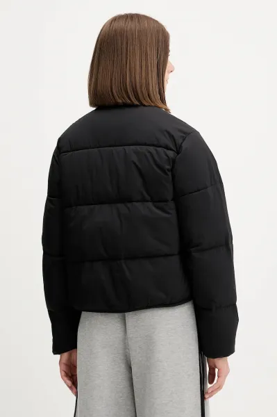 Bunda Dickies