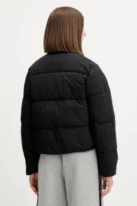 Bunda Dickies