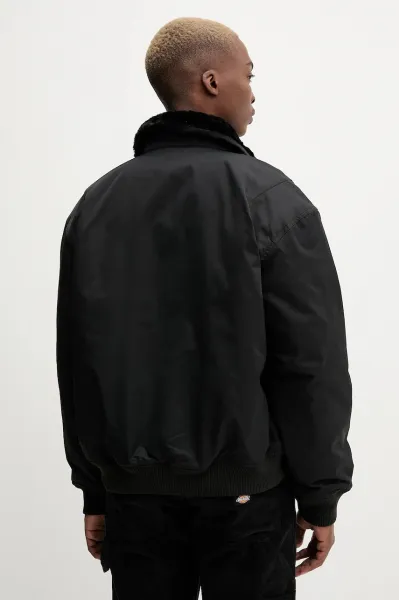 Bunda Dickies