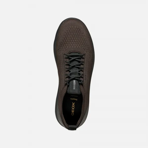 Brown men's sneakers Geox Spherica - Men's