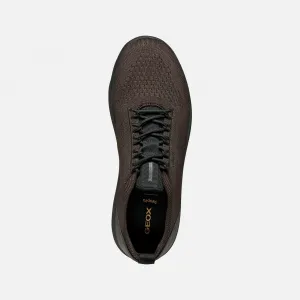 Brown men's sneakers Geox Spherica - Men's