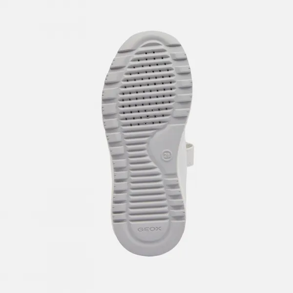 White boys' sneakers Geox Alben - Boys