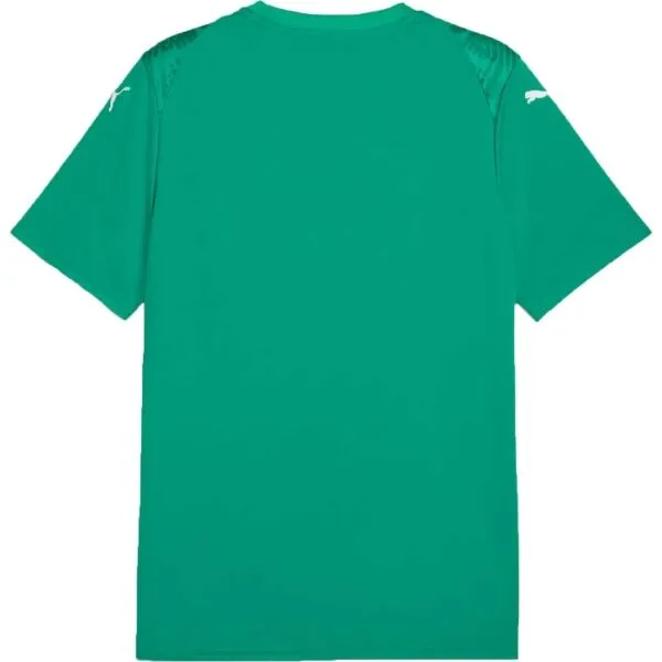 Puma TEAMGLORY JERSEY Pánske futbalové tričko, zelená, veľkosť