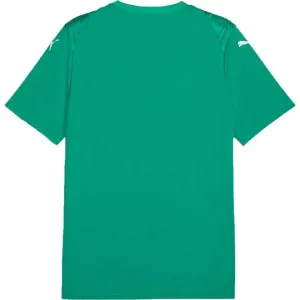Puma TEAMGLORY JERSEY Pánske futbalové tričko, zelená, veľkosť