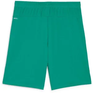 Puma TEAMGOAL SHORTS Pánske futbalové šortky, zelená, veľkosť