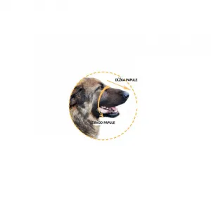 Kožený náhubok pre psa doberman