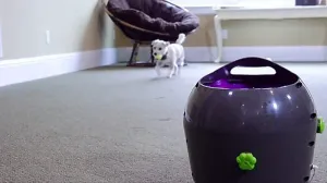 BAZÁR - Automatický vrhač loptičiek PetSafe