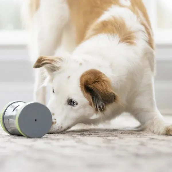 Elektronická hračka pre psov PetSafe Kibble Chase