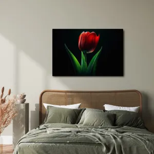 Obraz červená tulipánová elegancia