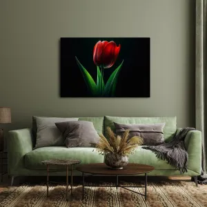 Obraz červená tulipánová elegancia