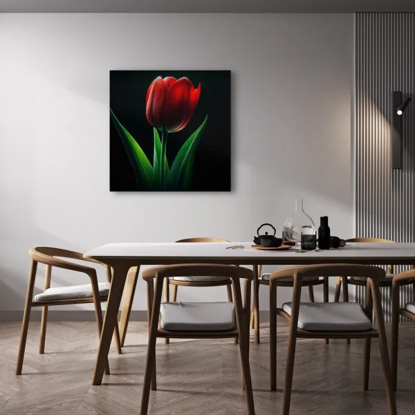 Obraz kvet tulipánu v noci