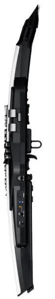 Roland AE-20