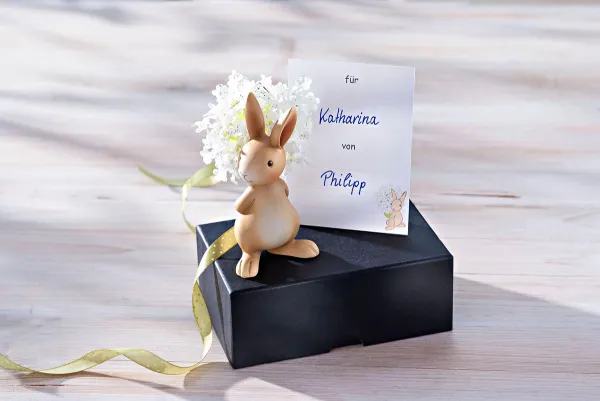Weltbild Dárková sada králíček Knuffi