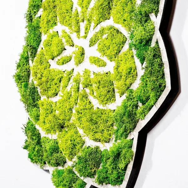 Wallity Nástěnná MDF dekorace Daisy zelená