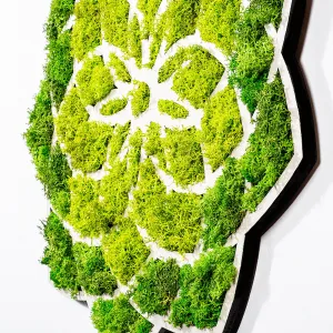 Wallity Nástěnná MDF dekorace Daisy zelená