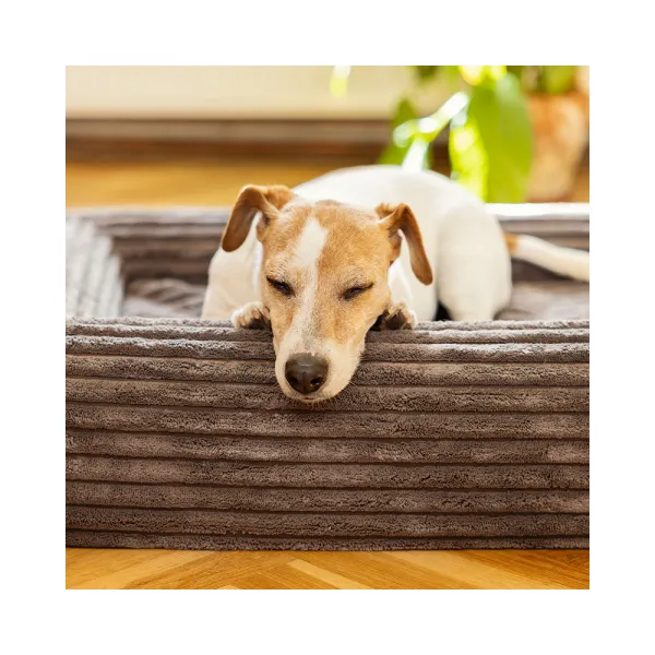 EXPLORER DOG Pelech ortopedický Cloud S 80x60 Moss Green