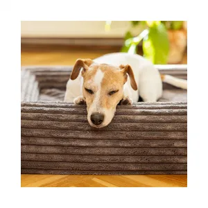 EXPLORER DOG Pelech ortopedický Cloud S 80x60 Moss Green