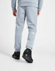 The North Face Nohavice  Kaveh Pt Tw