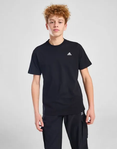 adidas Tričko Core Lgo T Blk B