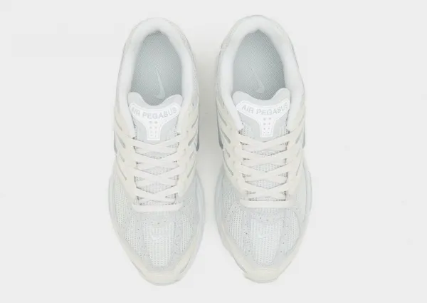 Nike Air Pegasus 2005 Se
