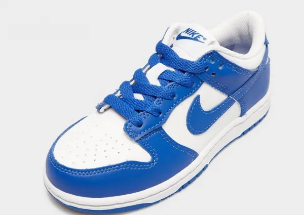 Nike Dunk Low Bp