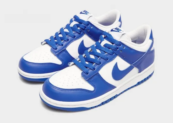 Nike Dunk Low Bg