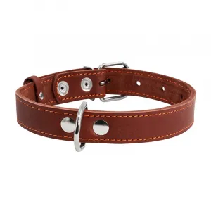 Kožený obojok hnedý, Obvod krku: dĺžka: 22-30cm, širka: 10 mm