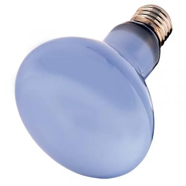 HOBBY Neodymium Daylight ECO 70W -denné halogénové svetlo