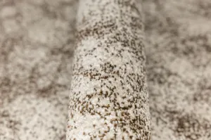 Behúň CAPPUCCINO 16007/11 béžový / hnedý