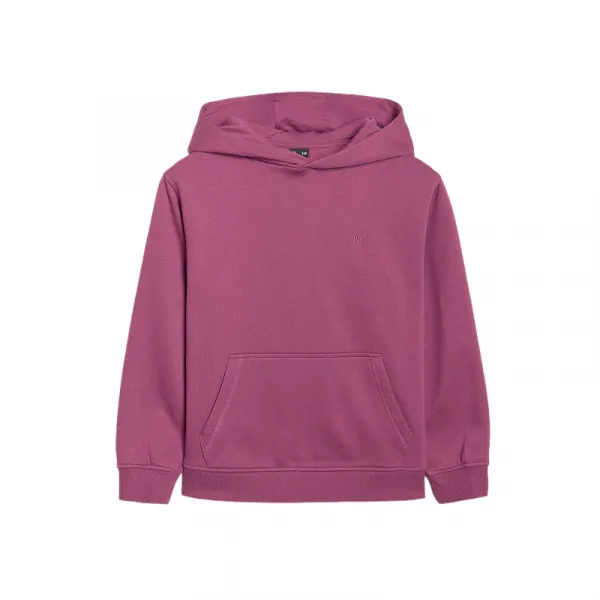 Dievčenská zateplená mikina s kapucňou 4F JUNIOR SWEATSHIRT F1953-4FJWAW25TSWSF1953-50S-DARK VIOLET