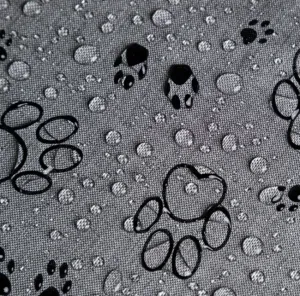 Reedog pelech Amazing Grafit Paws - L