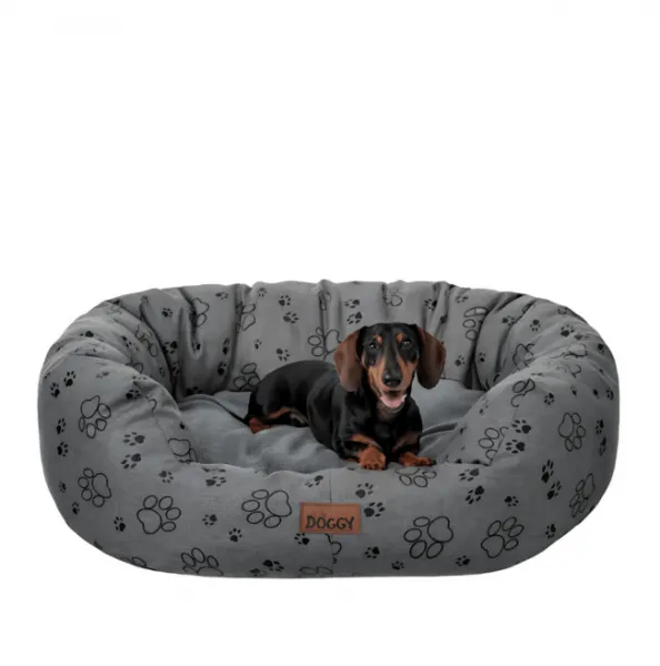 Reedog pelech Amazing Grafit Paws - XL