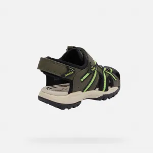 Grey boys' sandals Geox Borealis - Boys