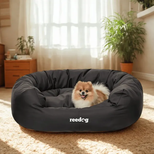 Reedog pelech Amazing Black