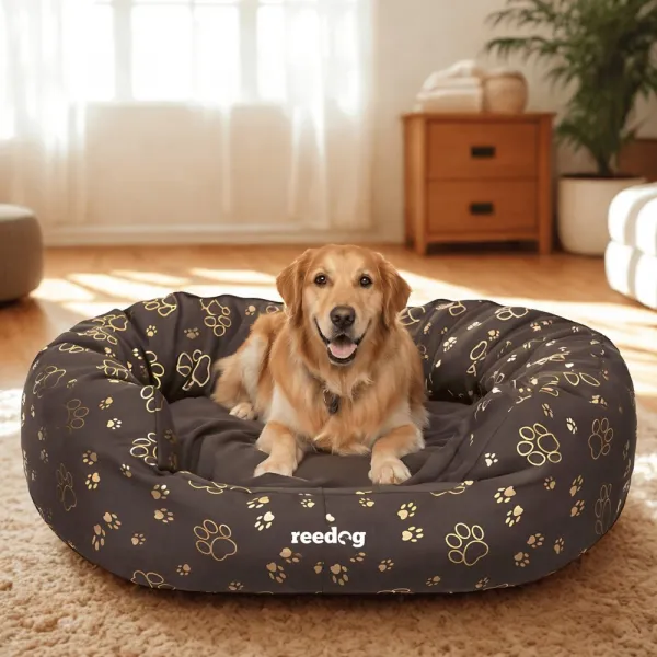 Reedog pelech Amazing Brown Paws
