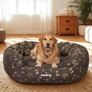 Reedog pelech Amazing Brown Paws