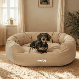 Reedog pelech Amazing Beige