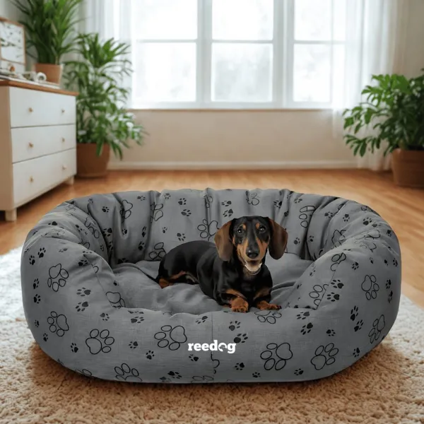 Reedog pelech Amazing Grafit Paws