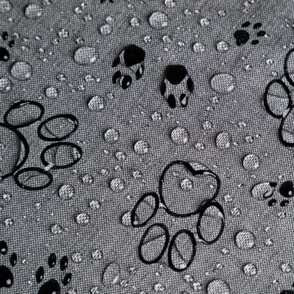 Reedog pelech Amazing Grafit Paws
