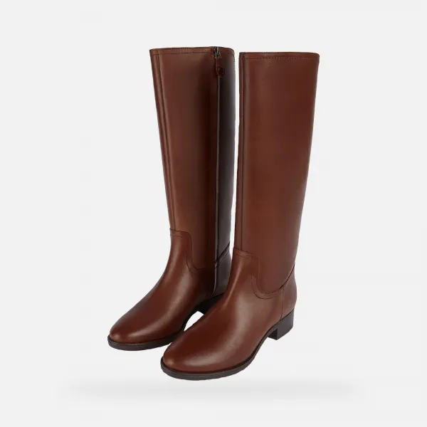 Brown women's boots Geox Felicity - Women's