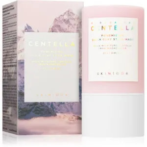 SKIN1004 Madagascar Centella Poremizing Quick Clay Stick Mask čistiaca ílová pleťová maska v tyčinke 27 g